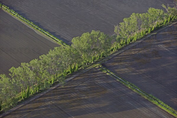 Aerial landscape of Camargue