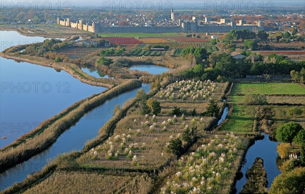 Aigues-Mortes, Gard