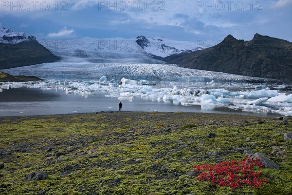 Iceland, Breidamerkurjökull glacier and Jökulsárlón lagoon