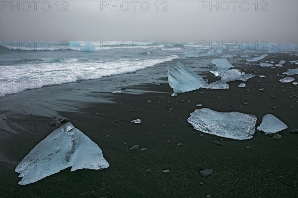 Iceland, ice blocks on the volcanic black sand beach