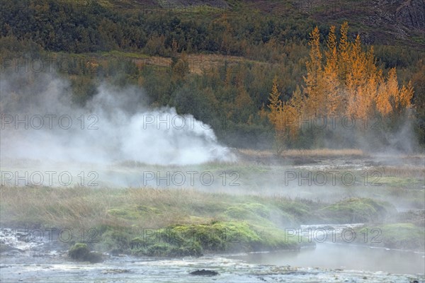 Islande, Le champ géothermique de Geysir