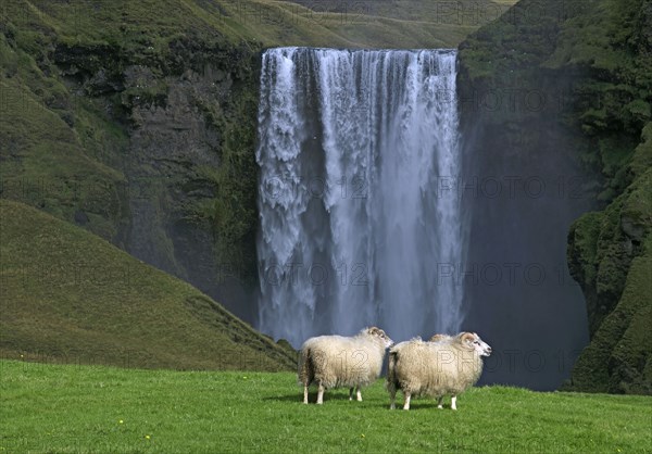 Islande, la cascade de Skogafoss