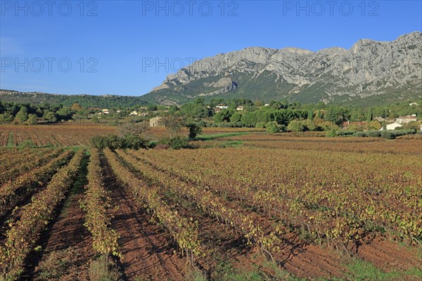 La montagne Sainte-Victoire, Bouches-du-Rhône