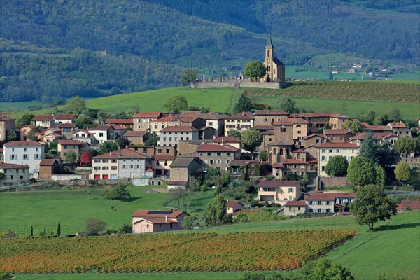 Saint-Laurent-d'Oingt, Rhône