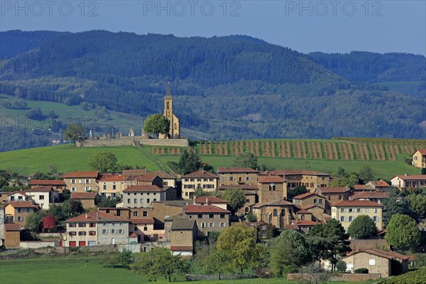 Saint-Laurent-d'Oingt, Rhône