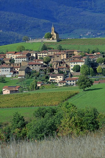 Saint-Laurent-d'Oingt, Rhône