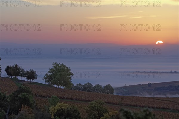 Solutré-Pouilly, Saône-et-Loire