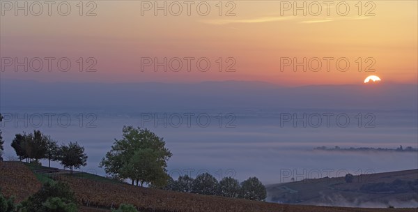 Solutré-Pouilly, Saône-et-Loire