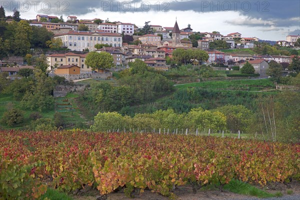 Vaux-en-Beaujolais, Rhône