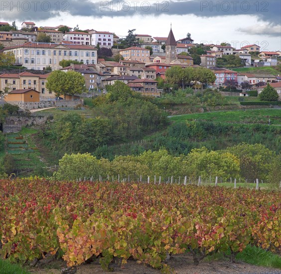 Vaux-en-Beaujolais, Rhône