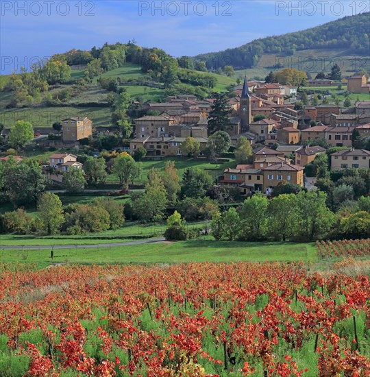 Ville-sur-Jarnioux, Rhône