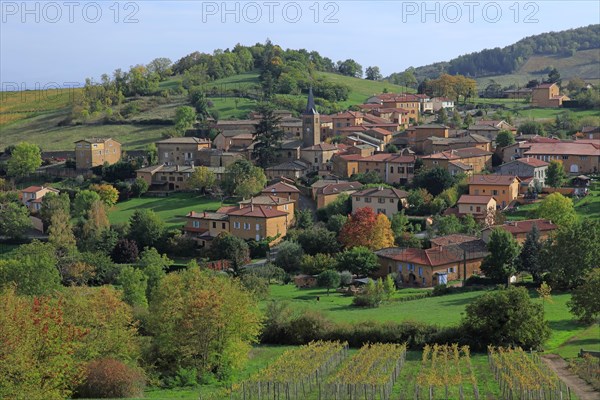 Ville-sur-Jarnioux, Rhône