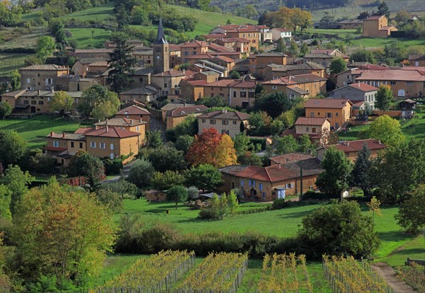 Ville-sur-Jarnioux, Rhône