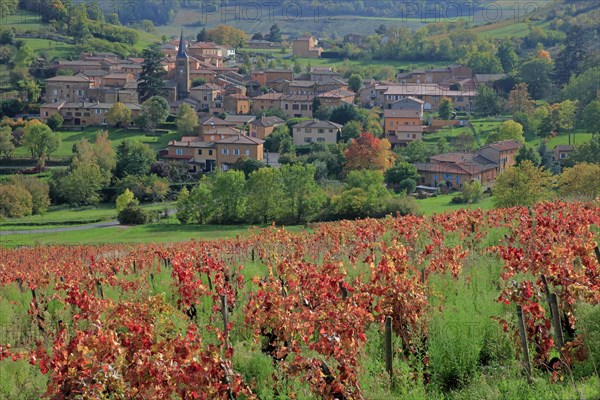 Ville-sur-Jarnioux, Rhône