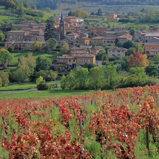 Ville-sur-Jarnioux, Rhône