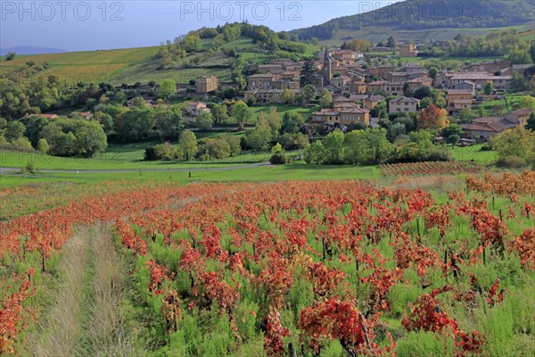 Ville-sur-Jarnioux, Rhône