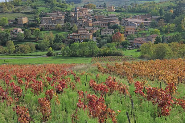 Ville-sur-Jarnioux, Rhône