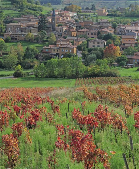 Ville-sur-Jarnioux, Rhône