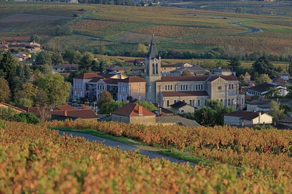 Villié-Morgon, Rhône