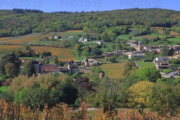 Chasselas, Saône-et-Loire