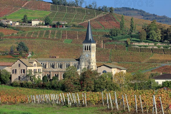 Chénas, Rhône