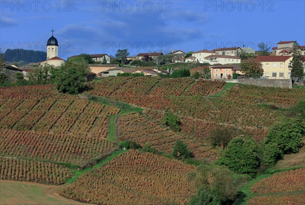 Chiroubles, Rhône