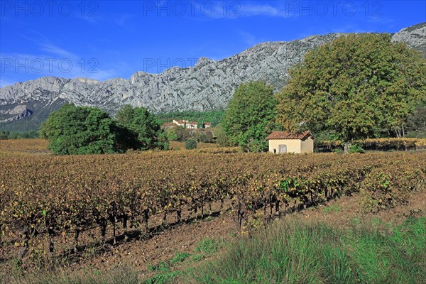 The Montagne Sainte-Victoire, Bouches-du-Rhône