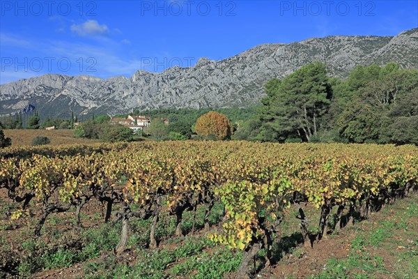 La montagne Sainte-Victoire, Bouches-du-Rhône