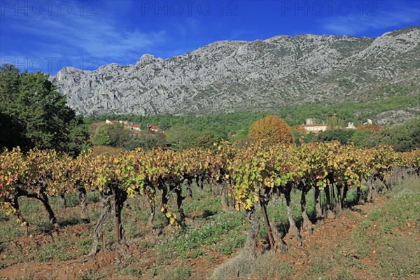 The Montagne Sainte-Victoire, Bouches-du-Rhône