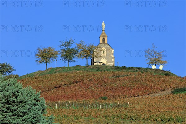 Fleurie, Rhône