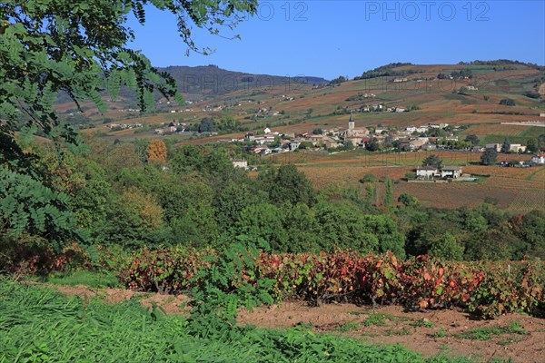 Juliénas, Rhône