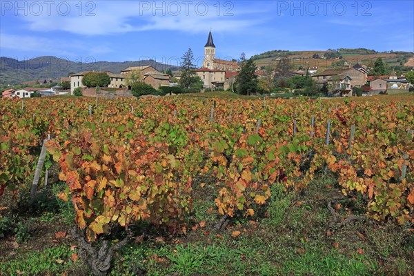 Juliénas, Rhône