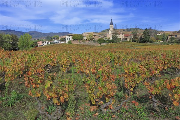 Juliénas, Rhône