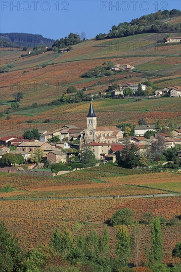 Juliénas, Rhône