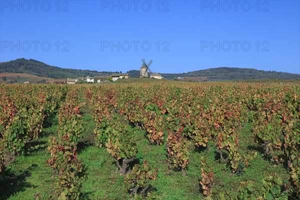 Romanèche-Thorins, Saône-et-Loire