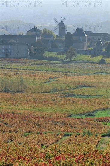 Romanèche-Thorins, Saône-et-Loire