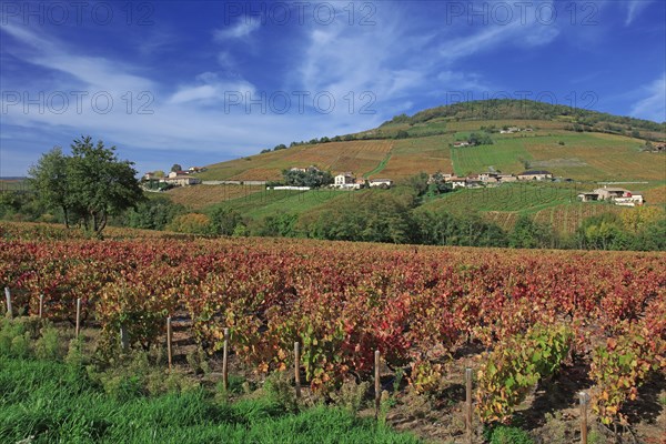 Saint-Lager, Rhône