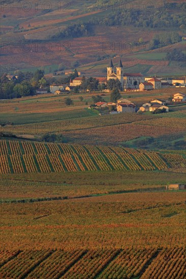 Régnié-Durette, Rhône