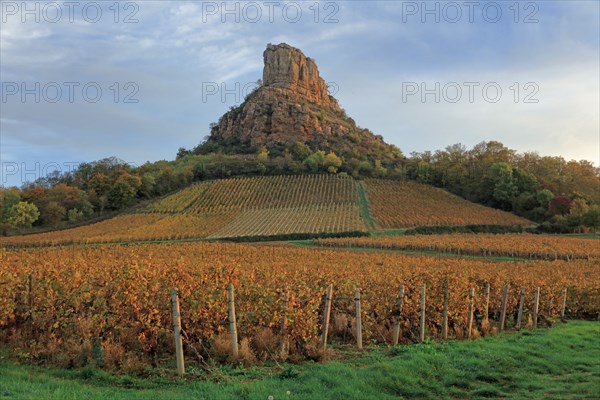 Solutré-Pouilly, Saône-et-Loire