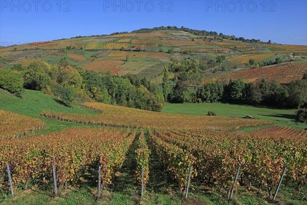 Saint-Vérand, Saône-et-Loire