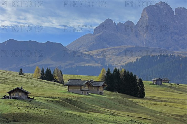 Alpe de Suisi, Dolomites, Italie