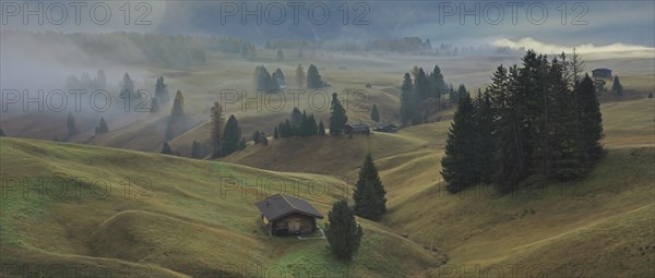 Alpe de Suisi, Dolomites, Italie