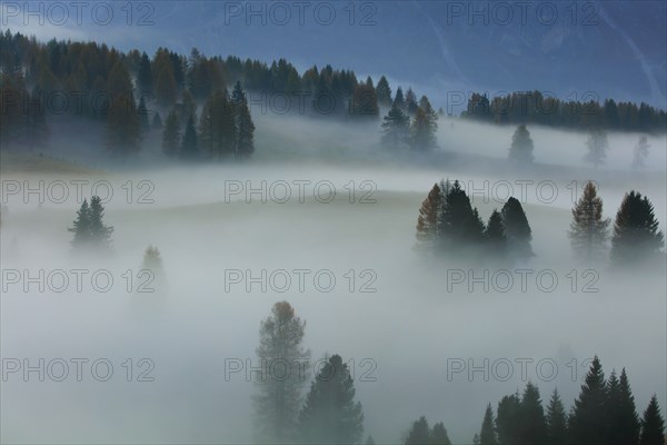 Alpe de Suisi, Dolomites, Italie