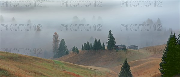 Alpe de Suisi, Dolomites, Italie