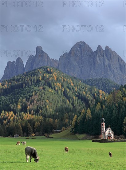 Chapelle St Johann, Ranui, Italie