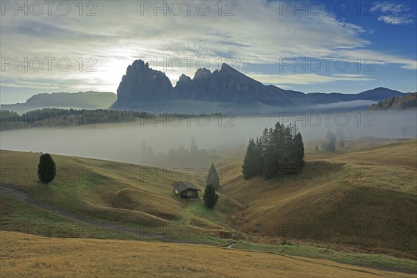 Seider Alm, Dolomites, Italy