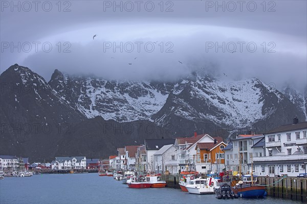 Iles Lofoten, Norvège