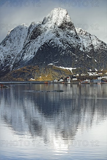 Iles Lofoten, Norvège