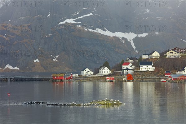 Iles Lofoten, Norvège