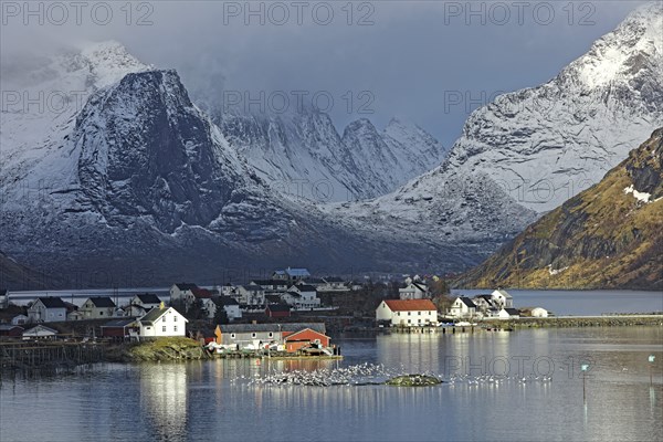 Iles Lofoten, Norvège